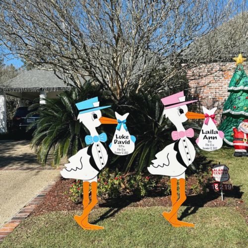 Pink and Blue Stork Sign: South Georgia Storks - Stork Sign Rentals in Valdosta, Lakepark, Hahira, Georgia